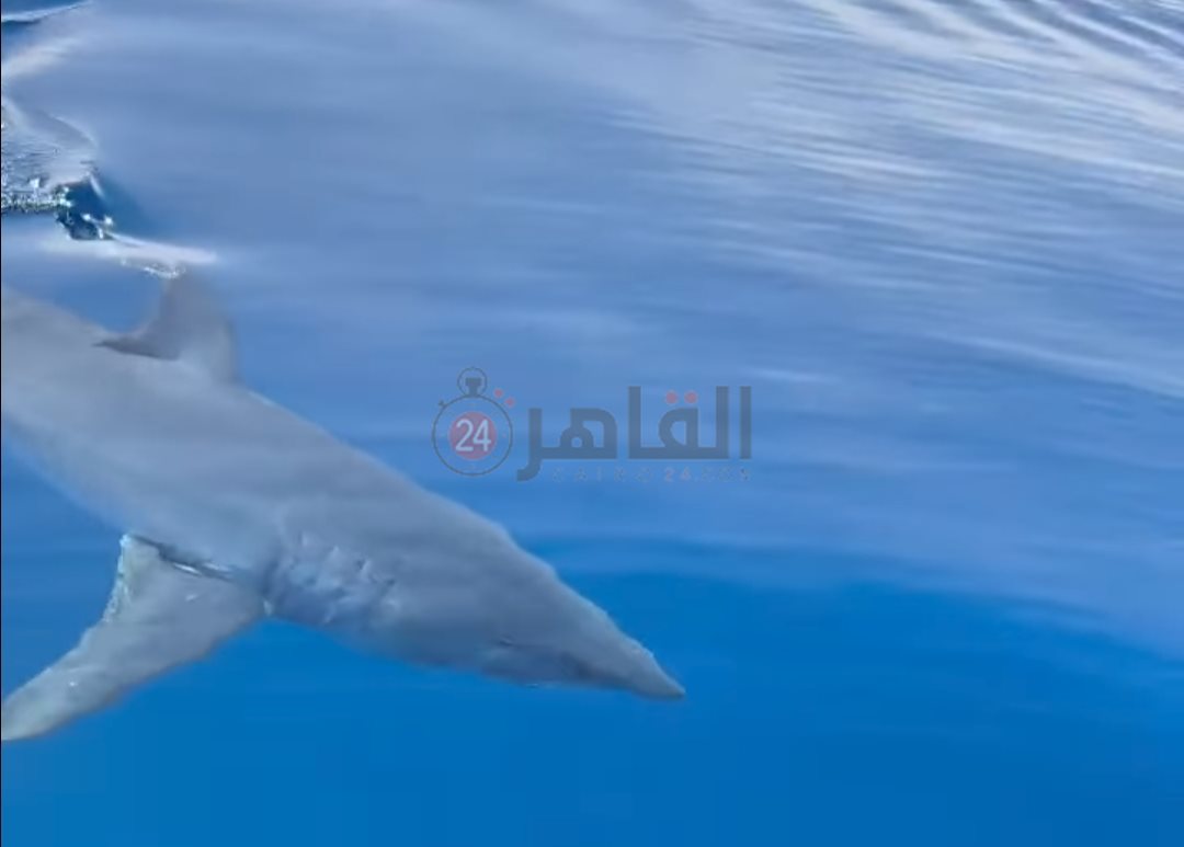 IMG_٢٠٢٤٠٣٣٠_٢٢٣٩٠٨