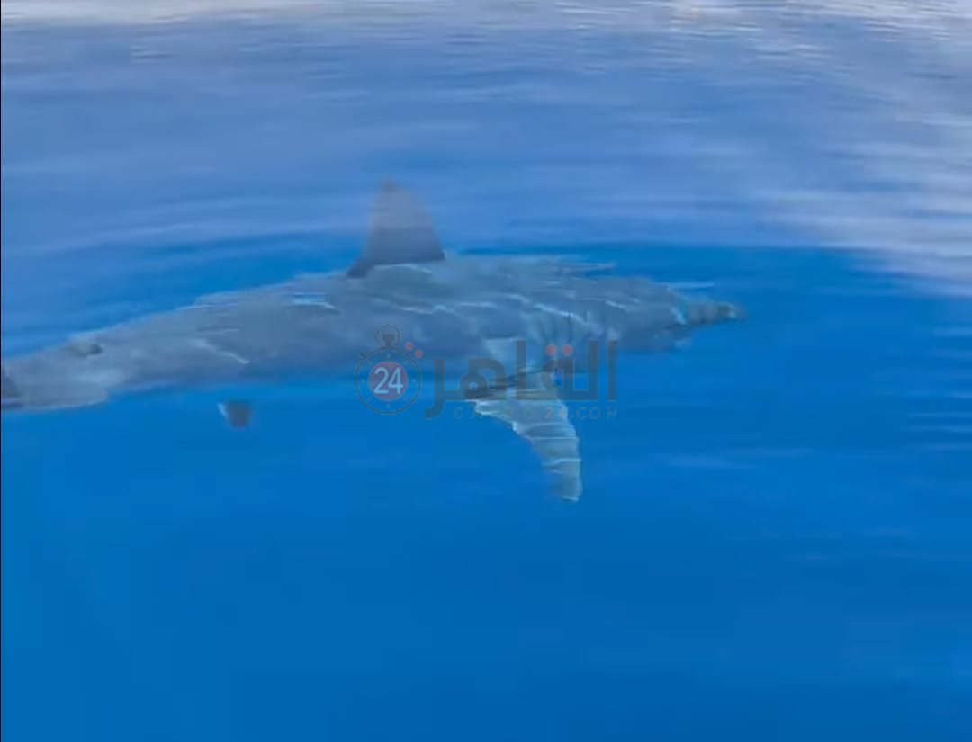 IMG_٢٠٢٤٠٣٣٠_٢٢٣٨٥٥