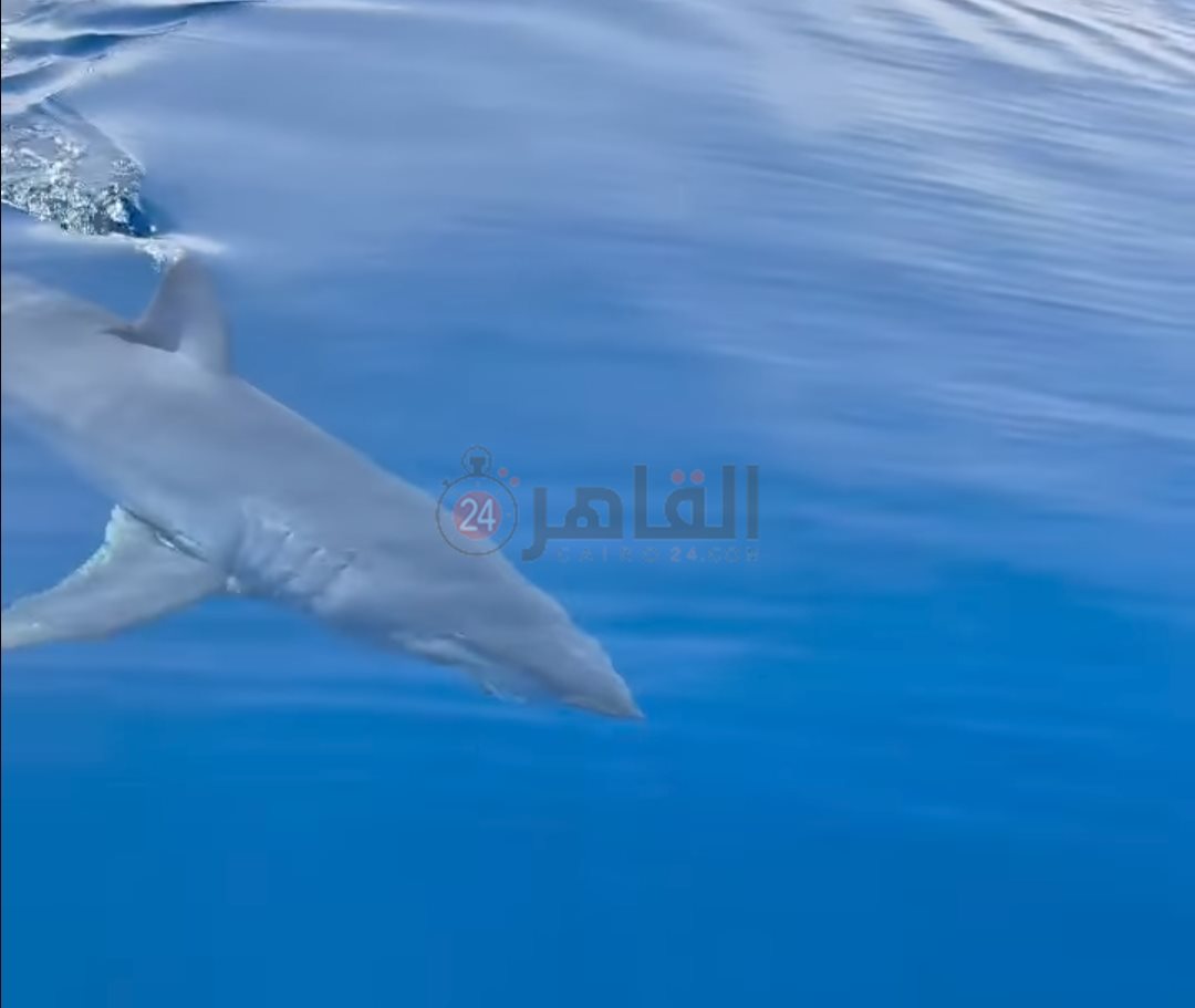 IMG_٢٠٢٤٠٣٣٠_٢٢٣٨٤٣