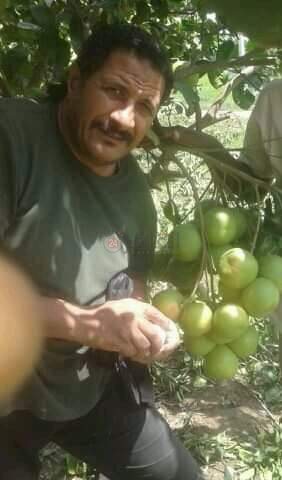 وفاة شخص من الفيوم أثناء صلاة الفجر 