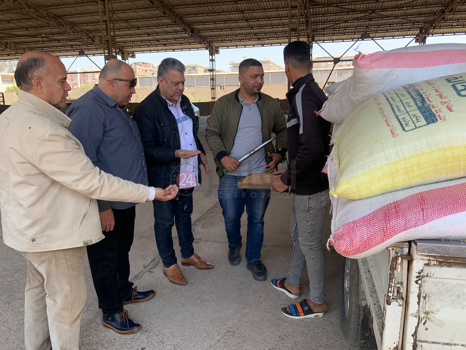 موسم توريد القمح ببورسعيد 