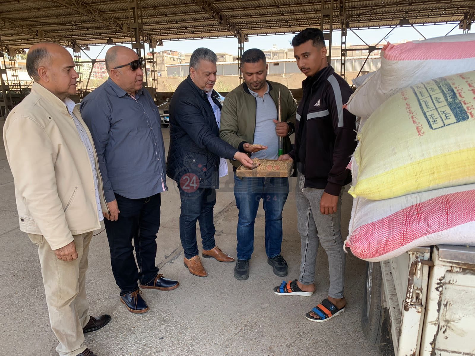 موسم توريد القمح ببورسعيد 