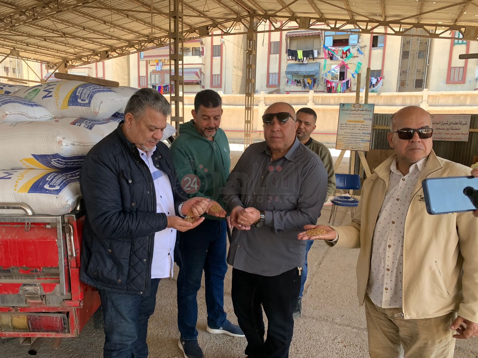 موسم توريد القمح ببورسعيد 