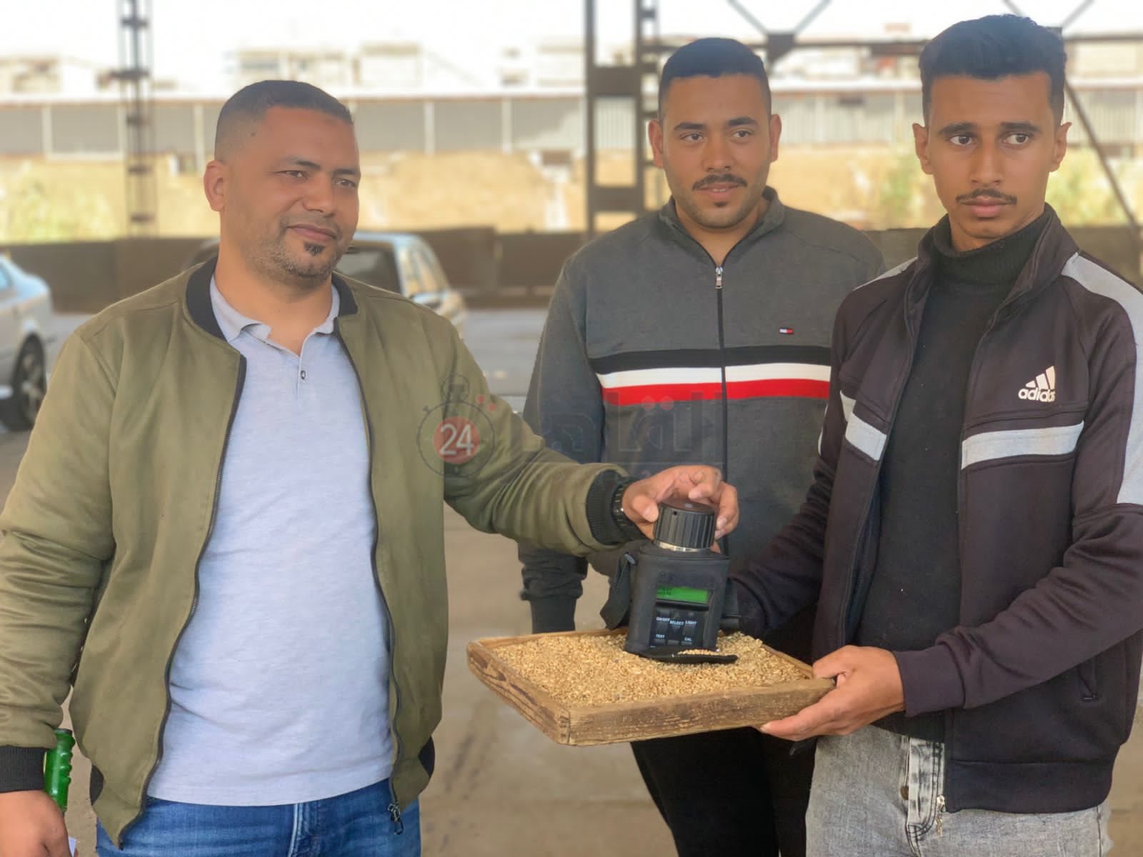 موسم توريد القمح ببورسعيد 