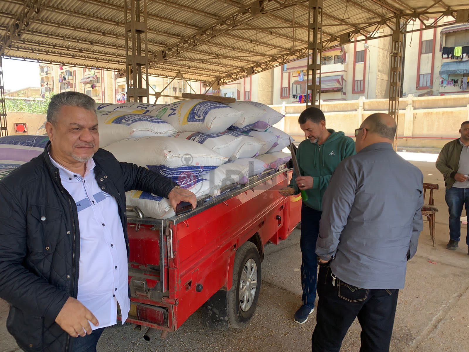 موسم توريد القمح ببورسعيد 