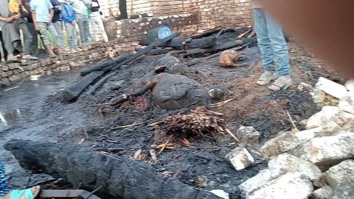 اختراق مزرعه ماشيه في الفيوم 