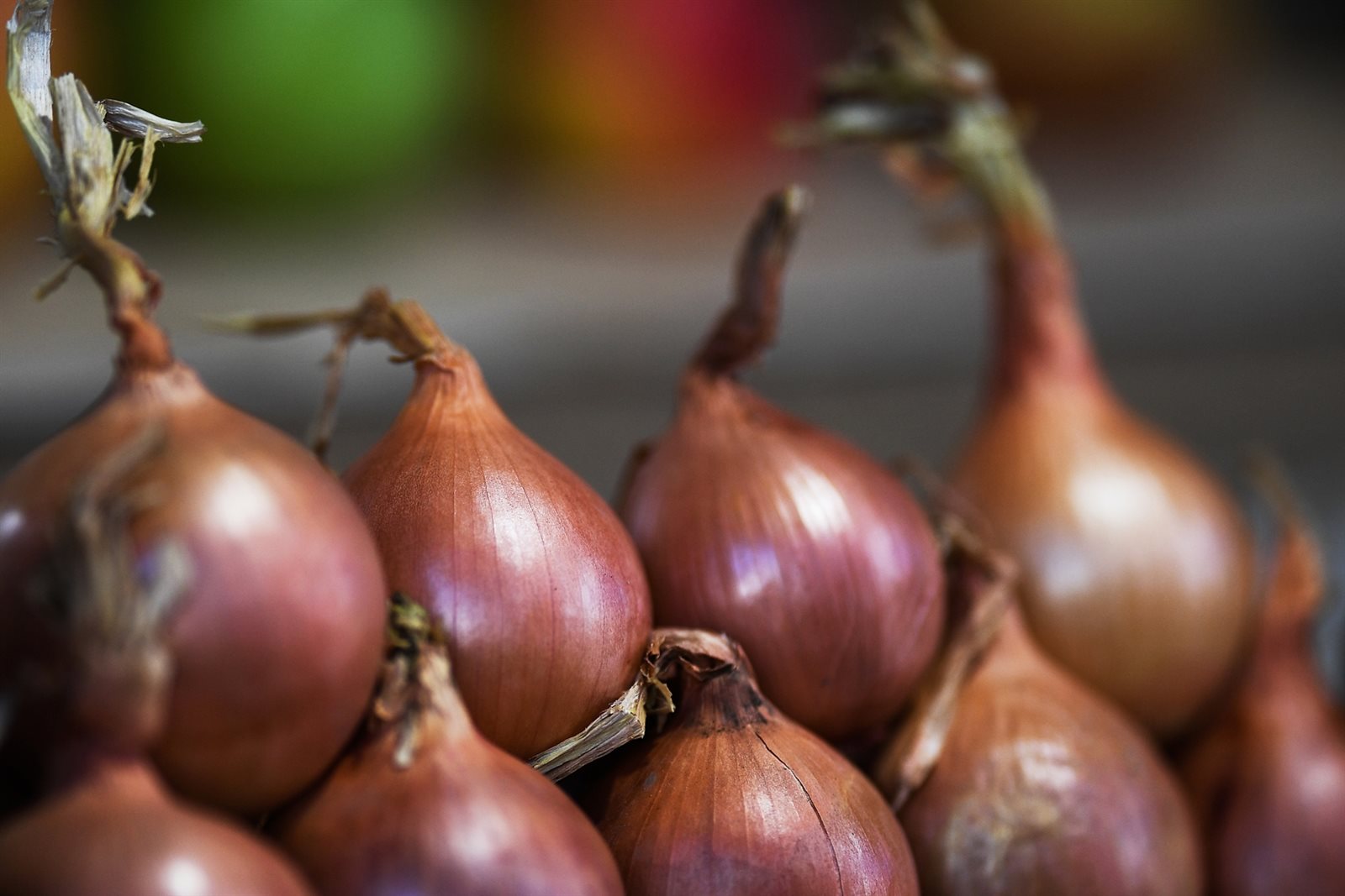 سعر البصل اليوم في سوق العبور