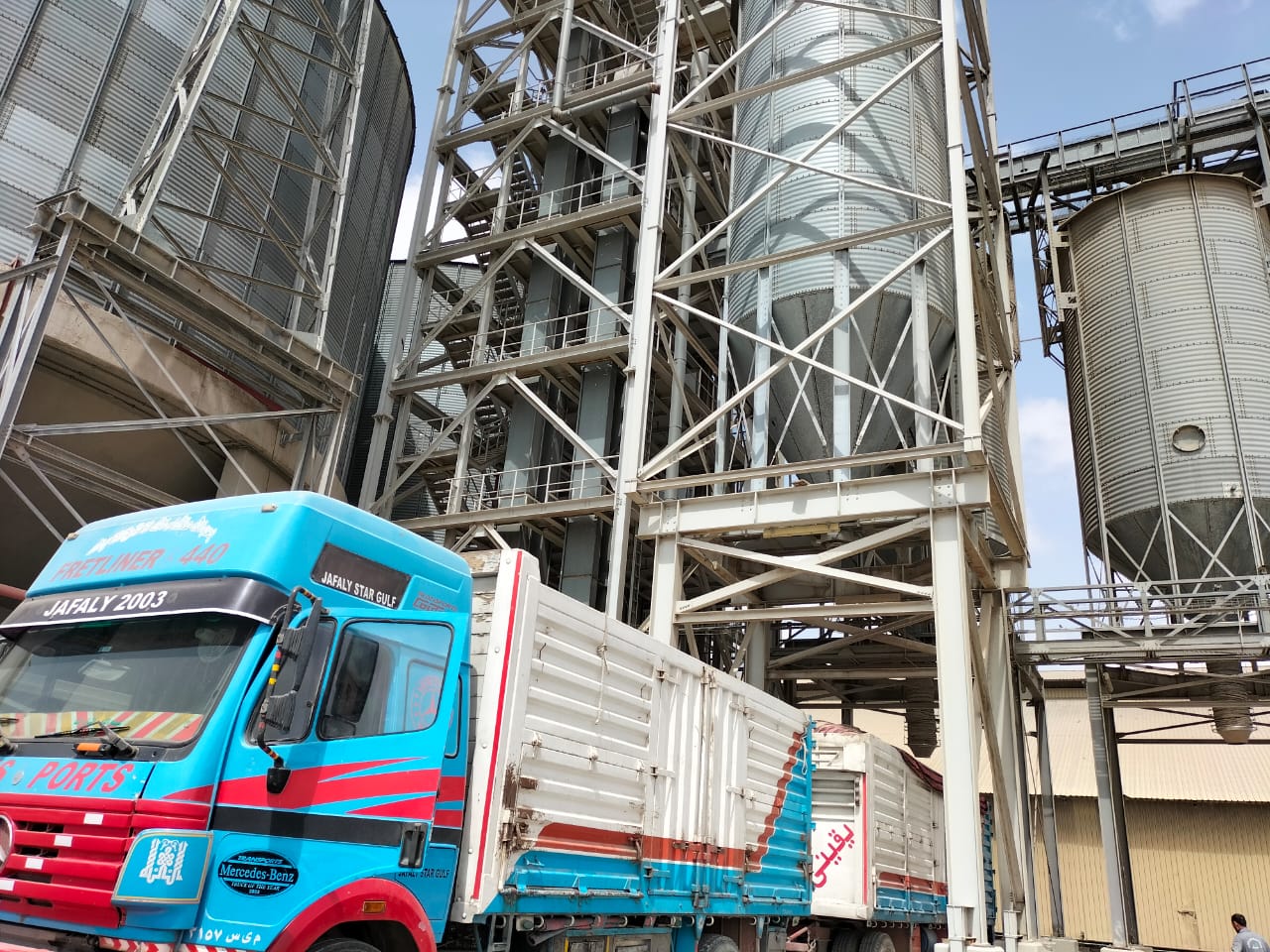 توريد القمح المحلي بالإسكندرية 