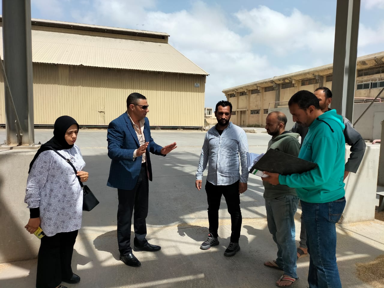 توريد القمح المحلي بالإسكندرية 