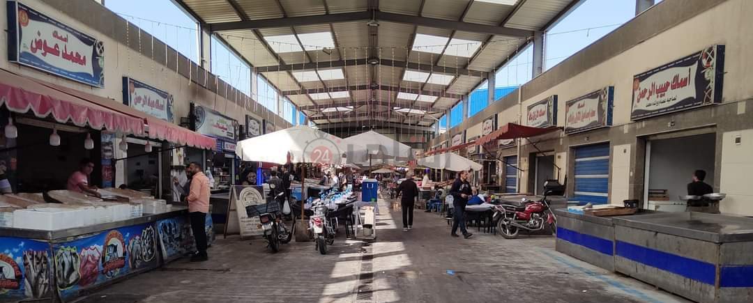 سوق الأسماك ببورسعيد