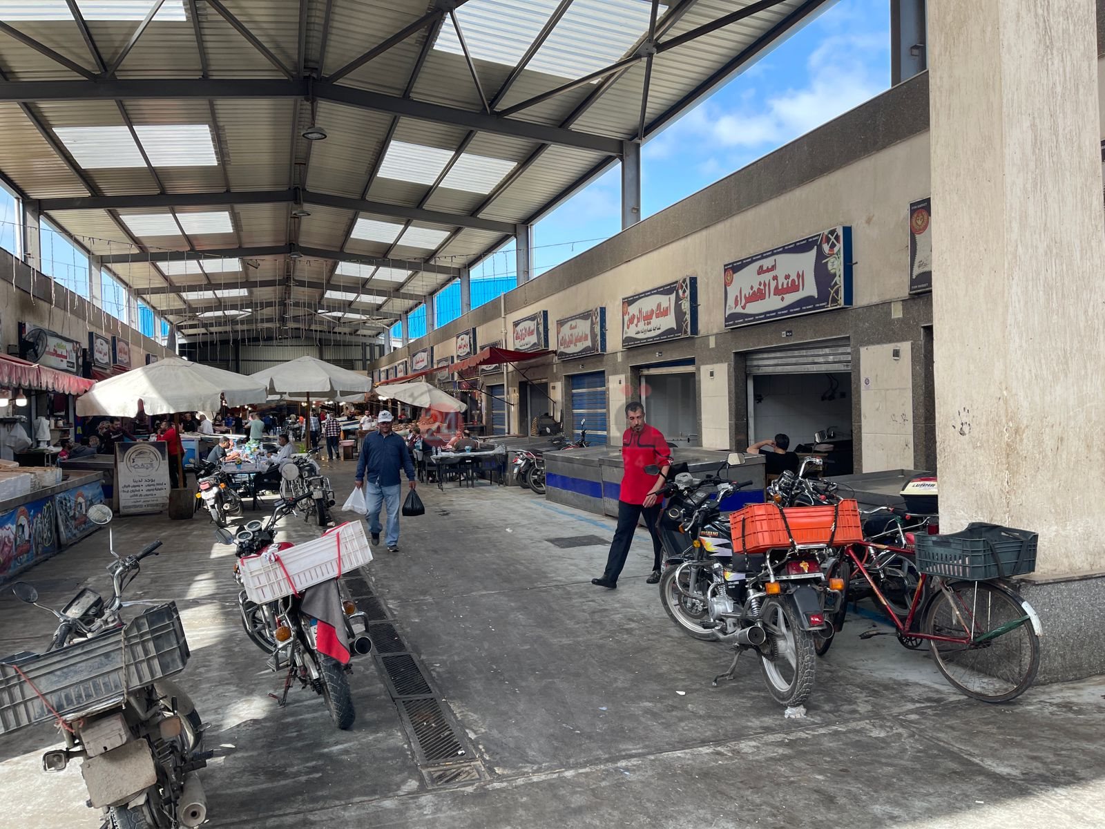 اسواق الأسماك ببورسعيد 