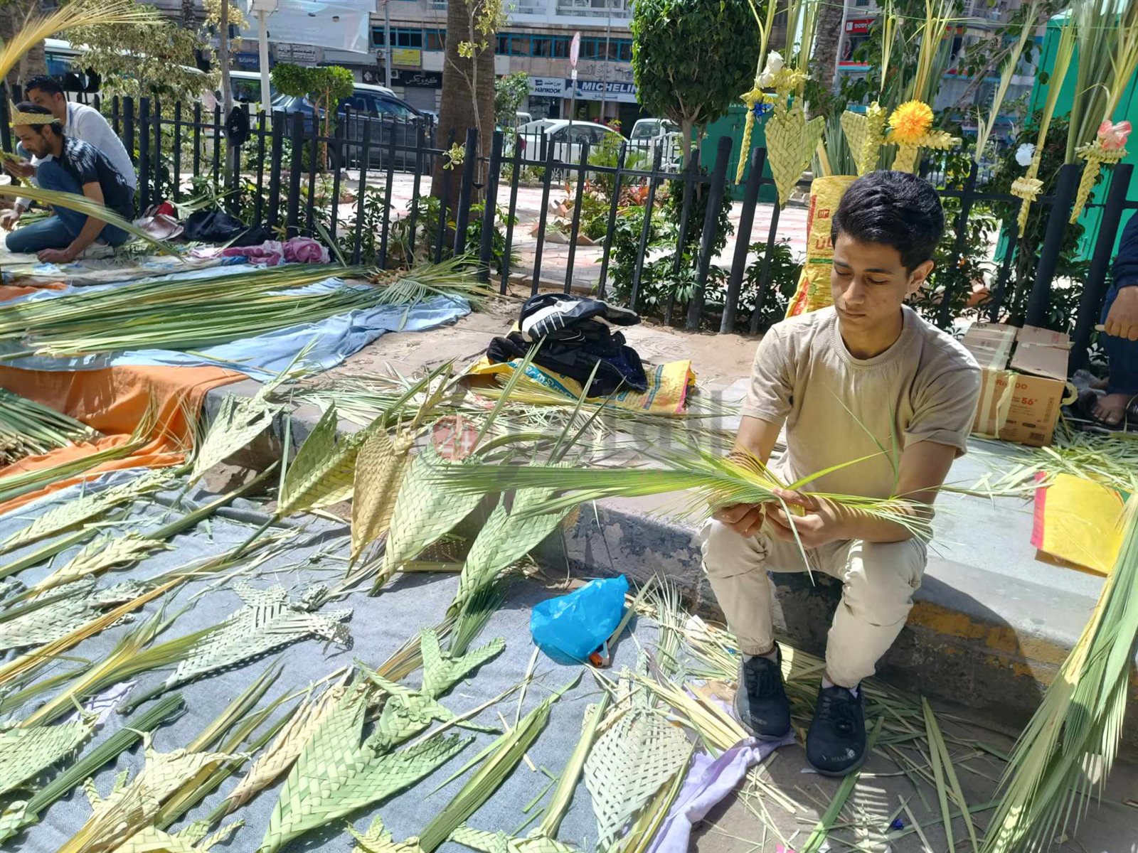 انتشار السعف بشوارع الإسكندرية