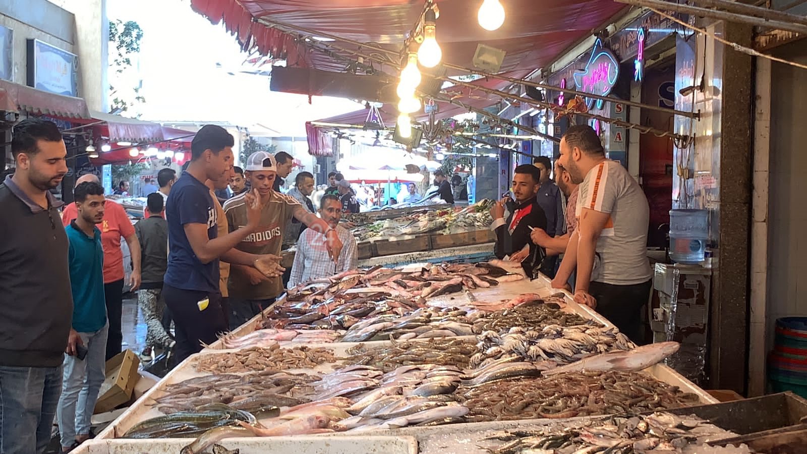 سوق الأسماك ببورسعيد 