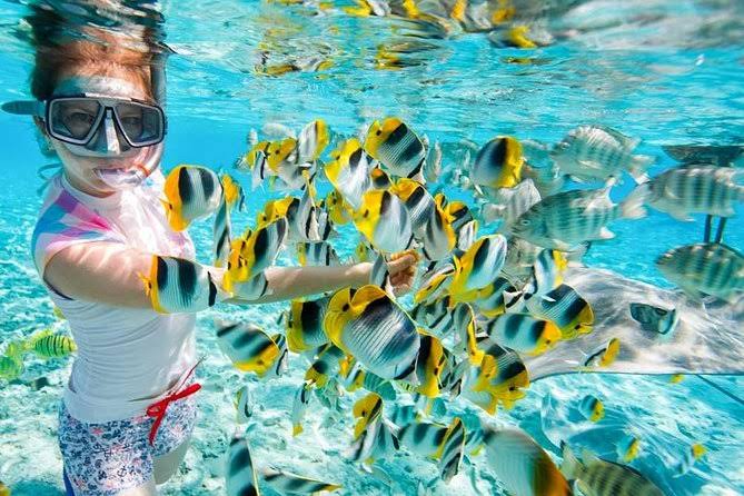 images - 2024-04-29T120903.287