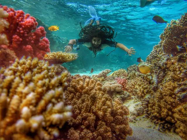 images - 2024-04-29T120534.307