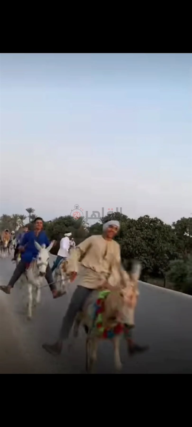 أغرب سباقات العالم - سباق الحمير