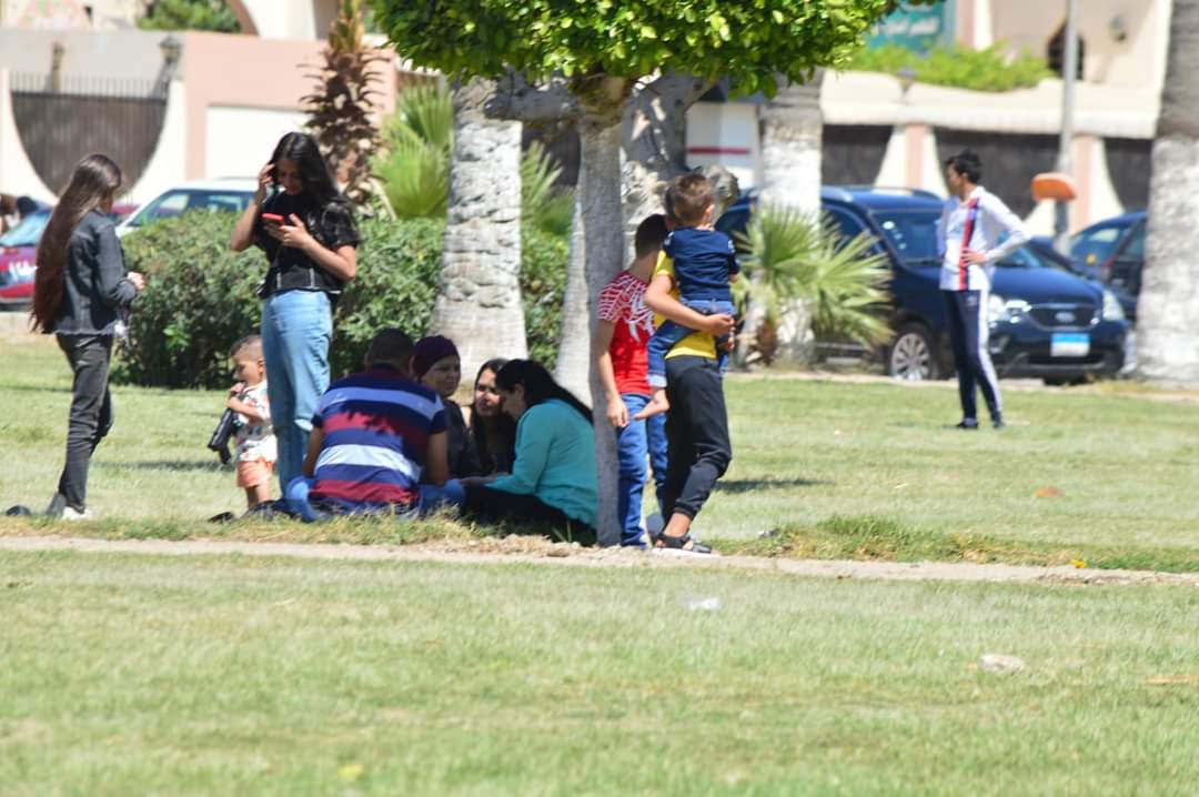 حدائق ومنتزهات بورفؤاد