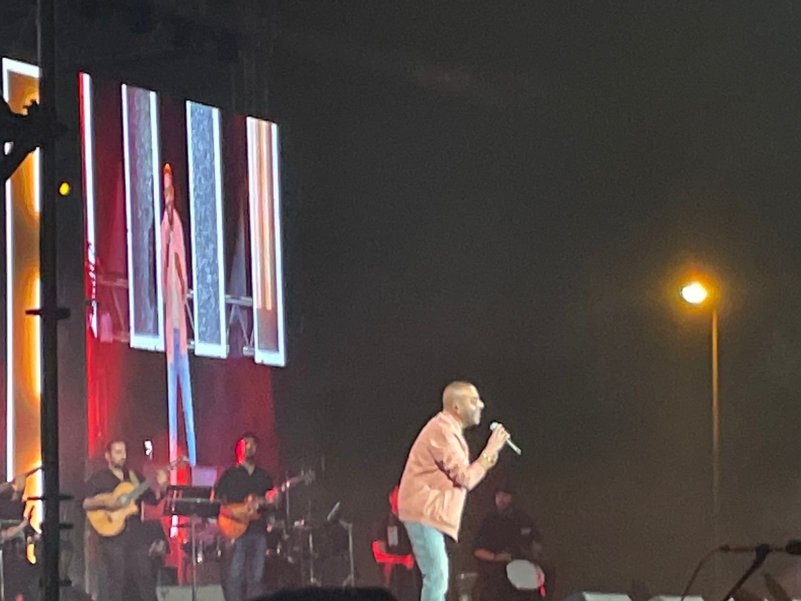 حفل تامر عاشور والعسيلي في فاميلي بارك (1)