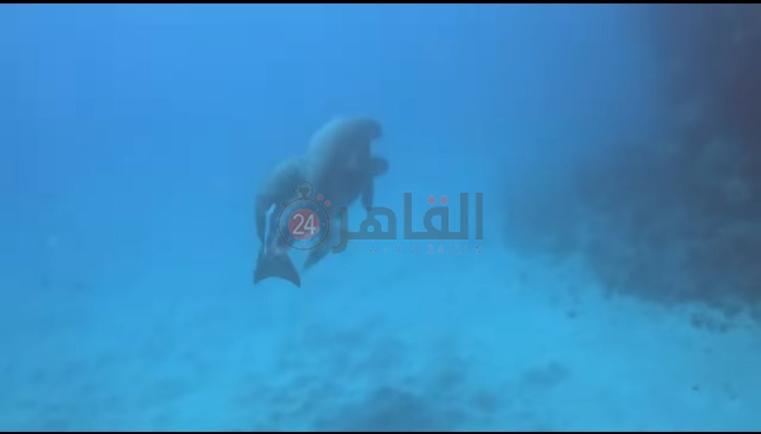 IMG_٢٠٢٤٠٥١٤_١٠٣٩١٧