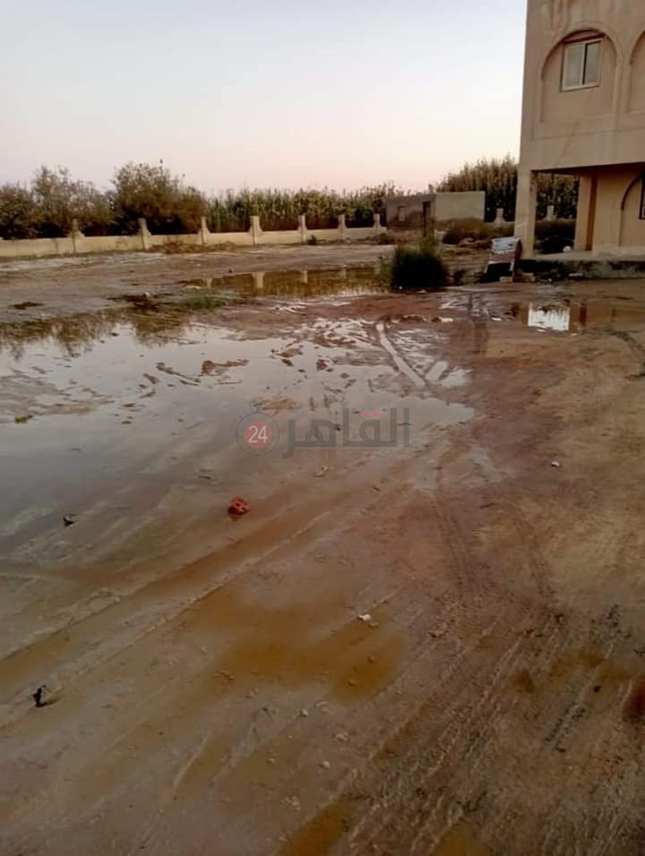 بوار عشرات الأفدنة بسبب ارتفاع منسوب المياه الجوفية في عزبة الخمسين بالفيوم