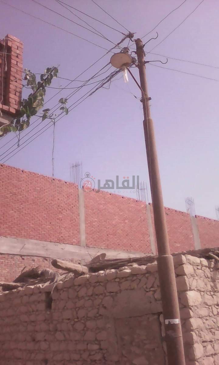 بوار عشرات الأفدنة بسبب ارتفاع منسوب المياه الجوفية في عزبة الخمسين بالفيوم