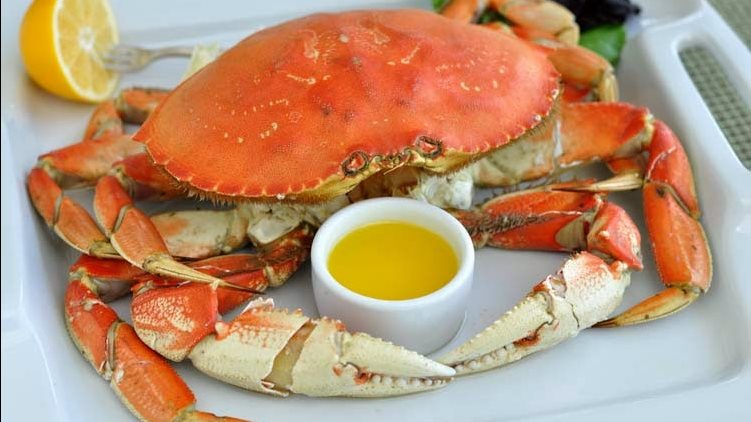 خطوات تحضير الكابوريا في الفرن