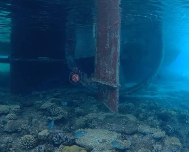 IMG_٢٠٢٤٠٥٢٩_١٢٤١٠٧