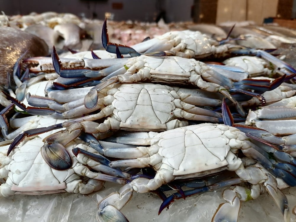 طريقة عمل الكابوريا وتنظيفها