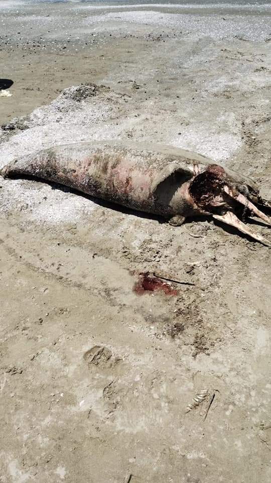 FB_IMG_1717757648385