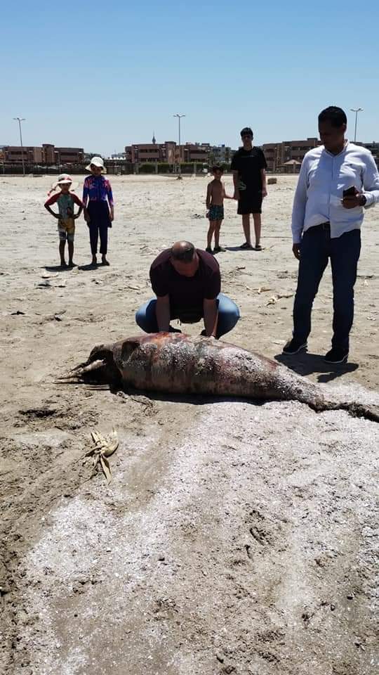 FB_IMG_1717757646272