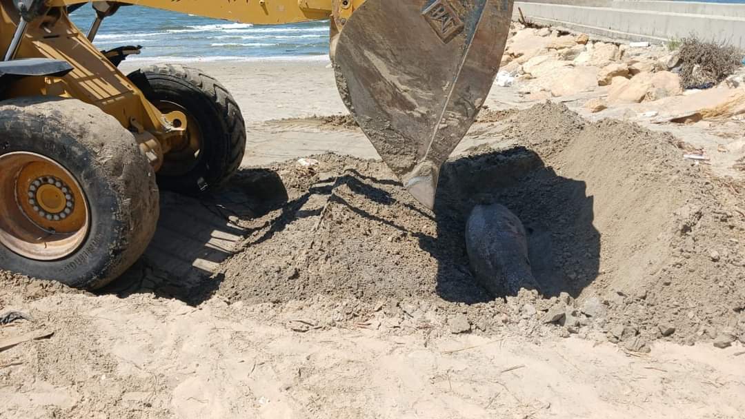 FB_IMG_1717757639991