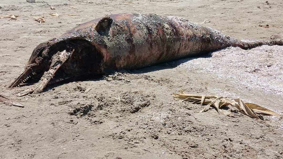 FB_IMG_1717757635683