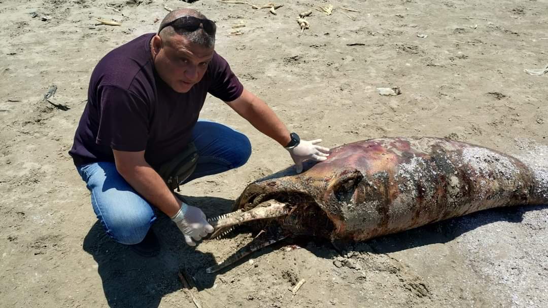 FB_IMG_1717757631489