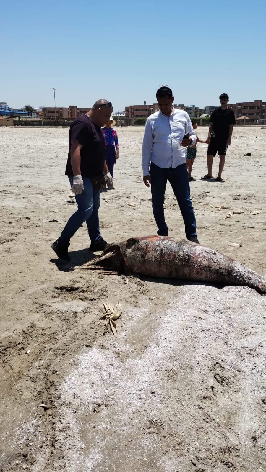 FB_IMG_1717757629423