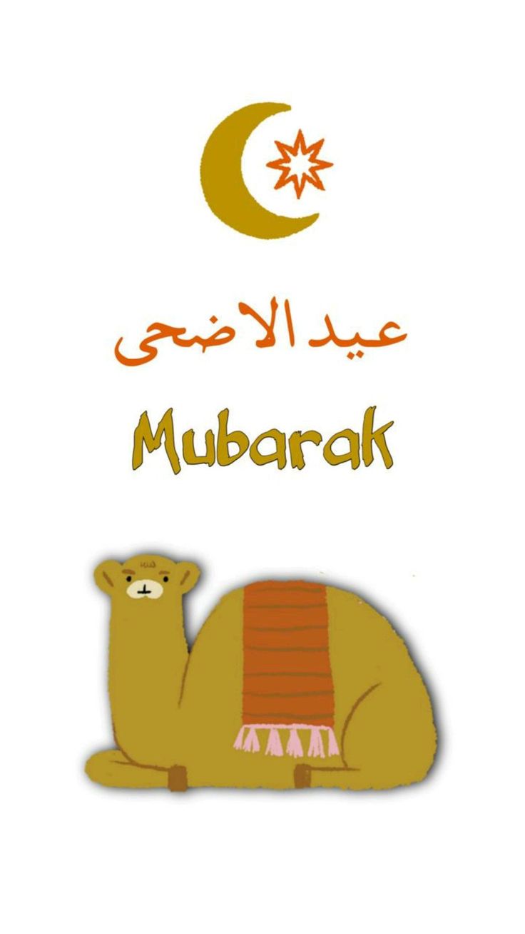 حالات واتس آب تهنئة عيد الأضحى 2024 1