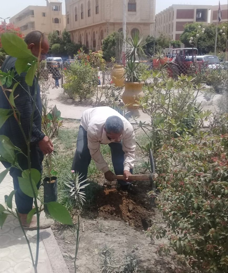 زراعة 51 ألف شجرة بالفيوم