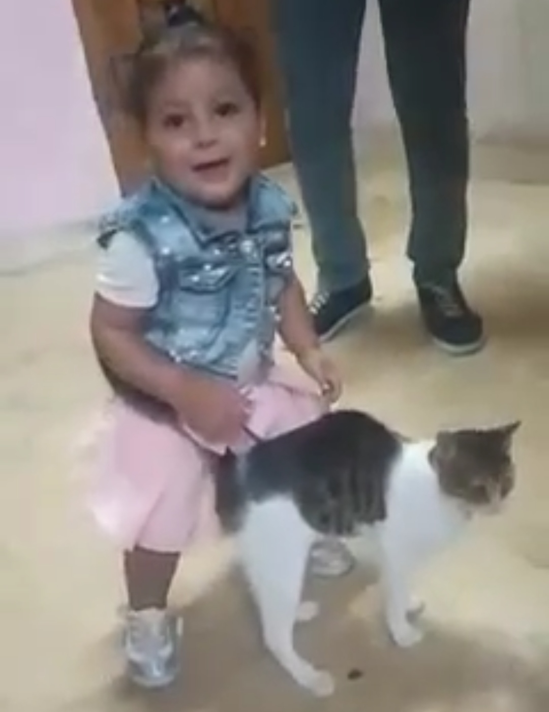 الصغيرة تلاعب القطة 