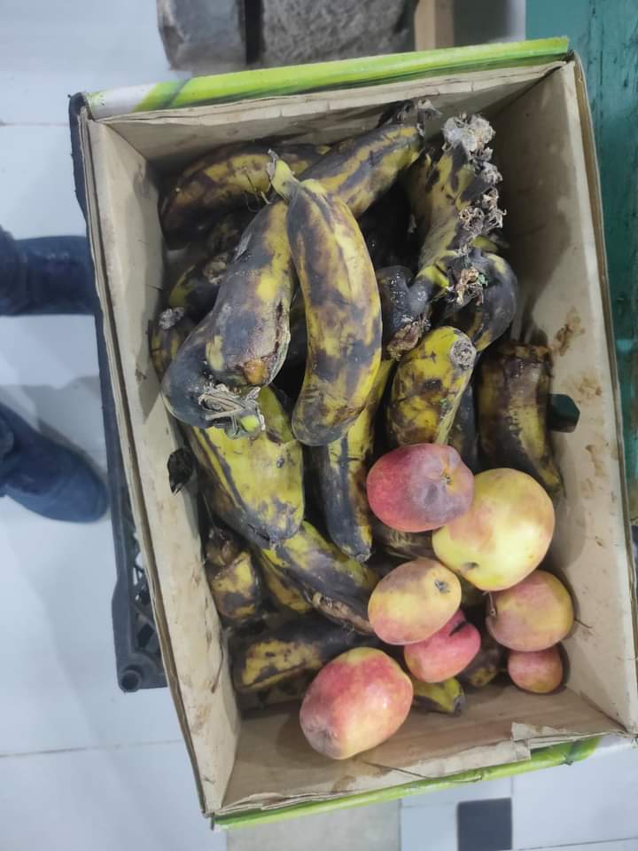 حملة صحية على مدينة طور سيناء