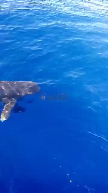 IMG_٢٠٢٤٠٧٠١_١٢٢٤٥٢٩٩