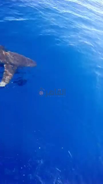 IMG_٢٠٢٤٠٧٠١_١٢٢٤٤٣٤٨