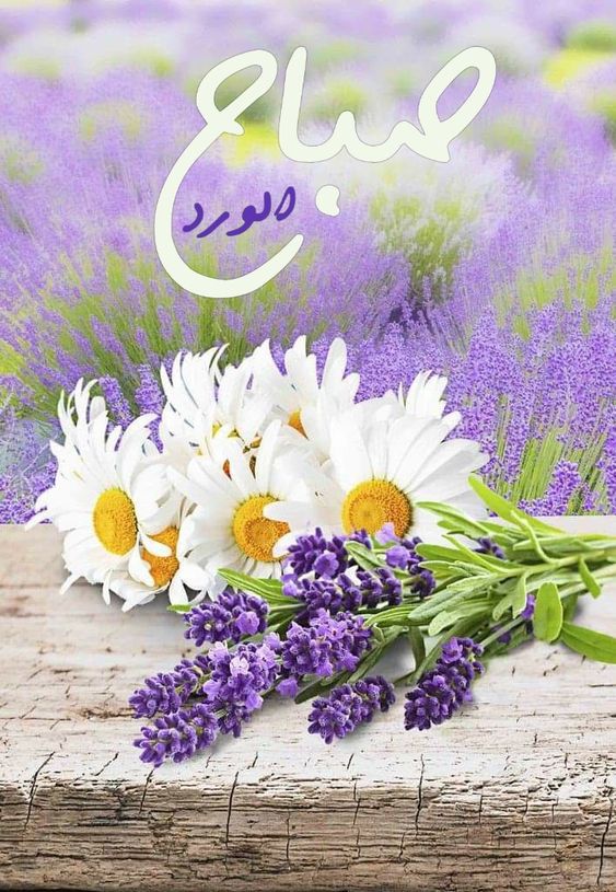 صور صباح الخير مع دعاء
