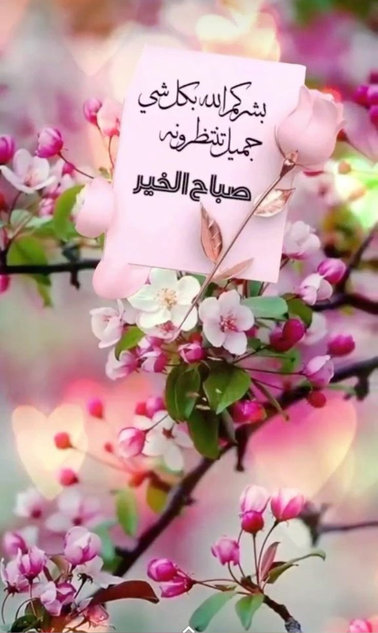 صور صباح الخير مع دعاء