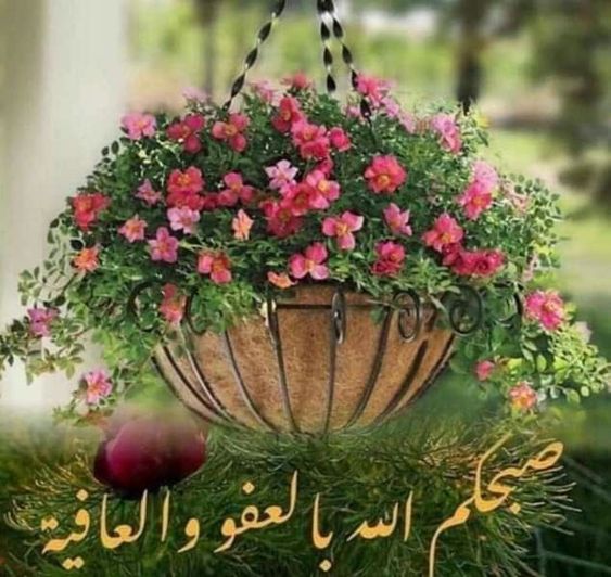 أدعية الصباح بالصور المتحركة