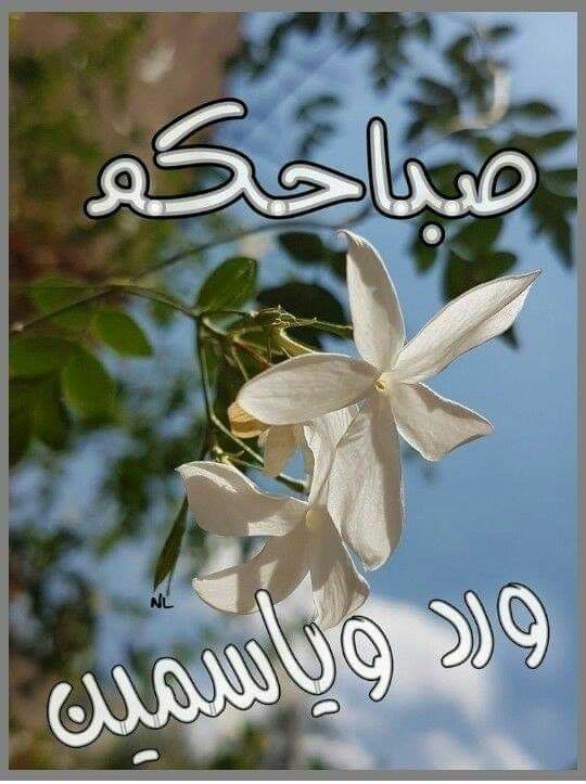أدعية الصباح بالصور المتحركة