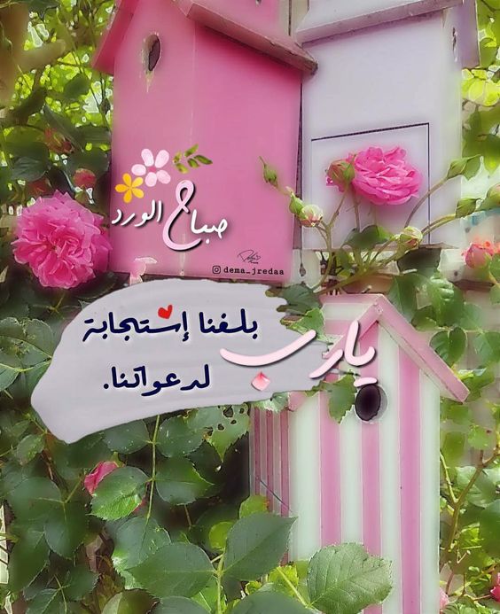صباح الخير للأصدقاء بالدعاء 2