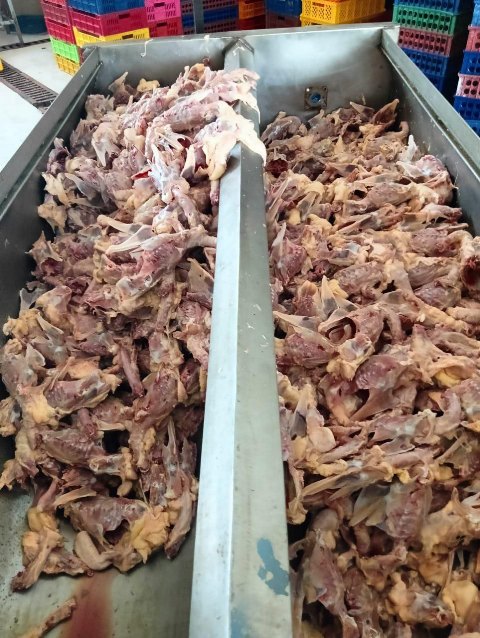 جانب من المضبوطات 01