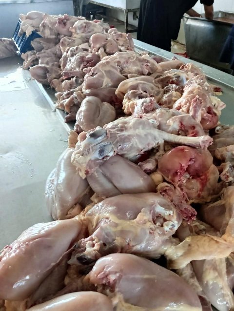 جانب من المضبوطات 02