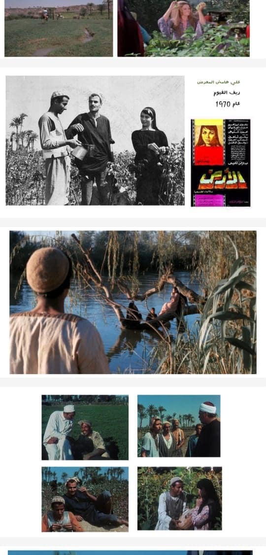 متحف كوم أوشيم بالفيوم يحتفل بذكرى حجر رشيد