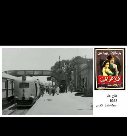 متحف كوم أوشيم بالفيوم يحتفل بذكرى حجر رشيد