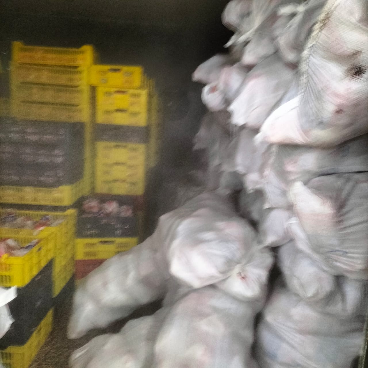 المضبوطات 03